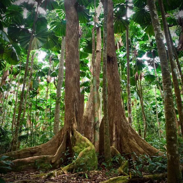 世界七大自然奇观——大堡礁，回味无与伦比的伊甸园