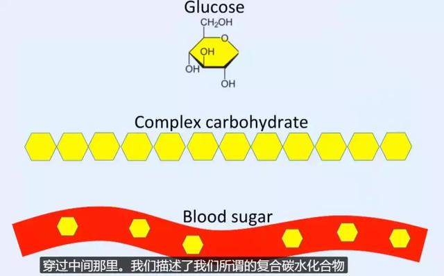 帮人 10 天瘦 28 斤！澳洲医生：科学减肥，只需要…