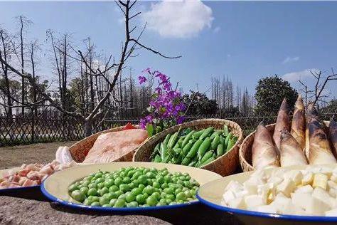 繁花赏乌村，“野火饭”尝春味，重启2020年吧！