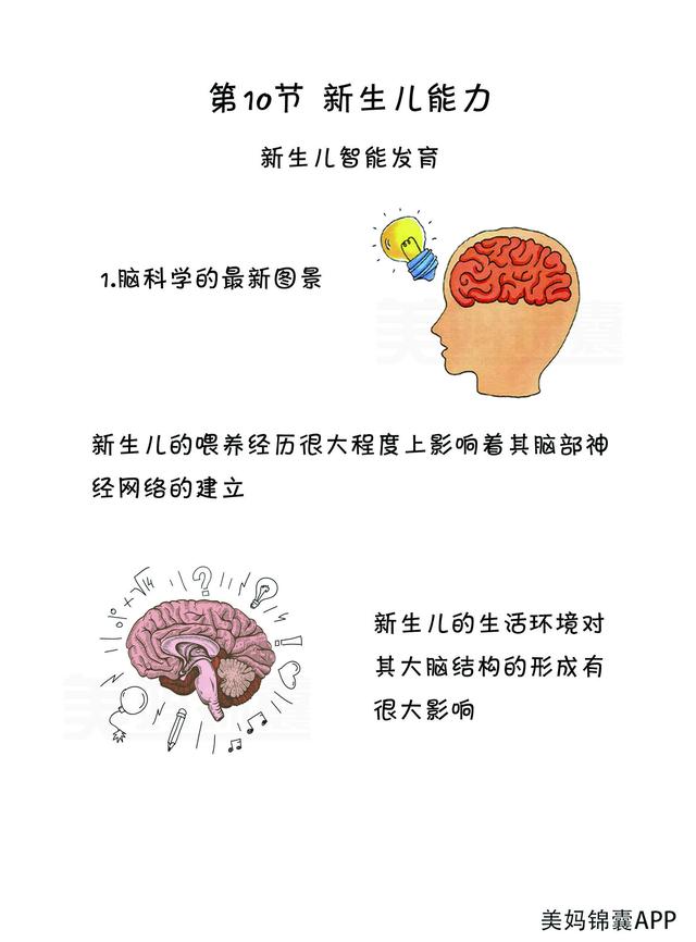 开发智力最有效的4种方法，让宝宝成为天才不是问题