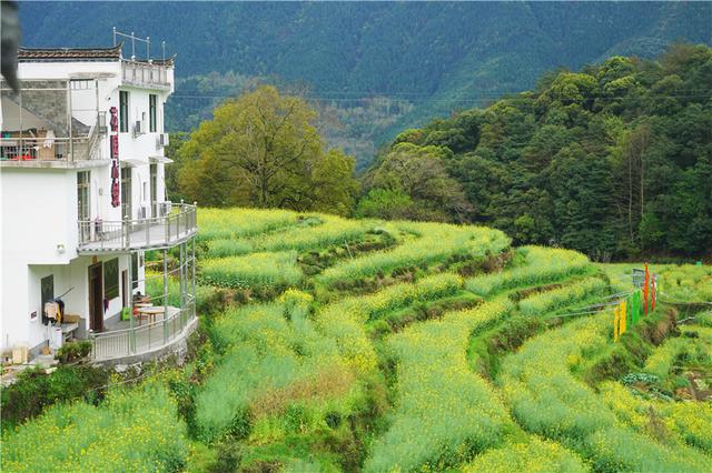 实拍中国最美乡村的春天，婺源万亩油菜花盛放，云海梯田天上人间