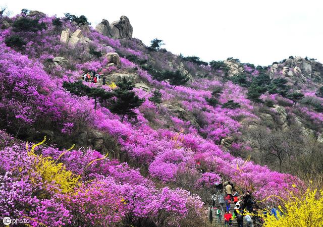 青岛旅游必去的7大景点，你都去过哪几个？