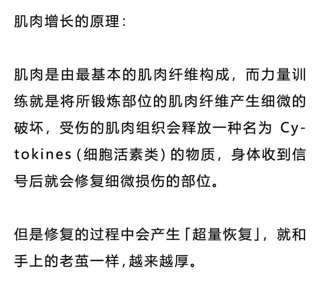 增肌的原理，90%的健身者都不懂！