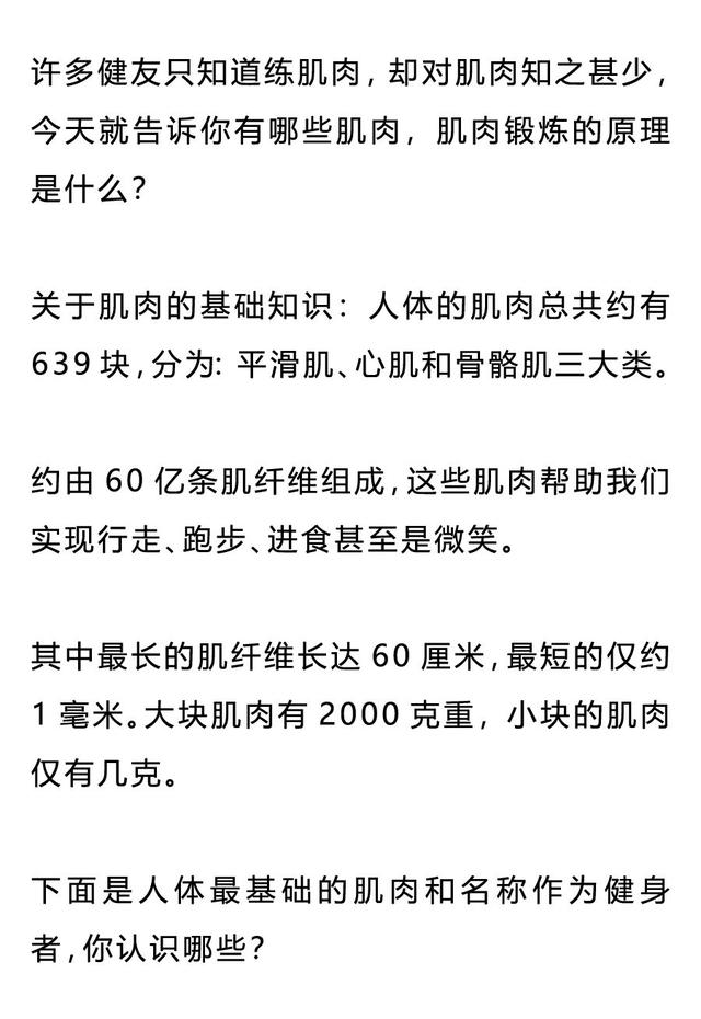 增肌的原理，90%的健身者都不懂！