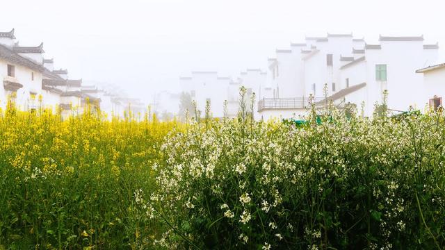 旅游景点推荐：最适合一个人旅行的美景