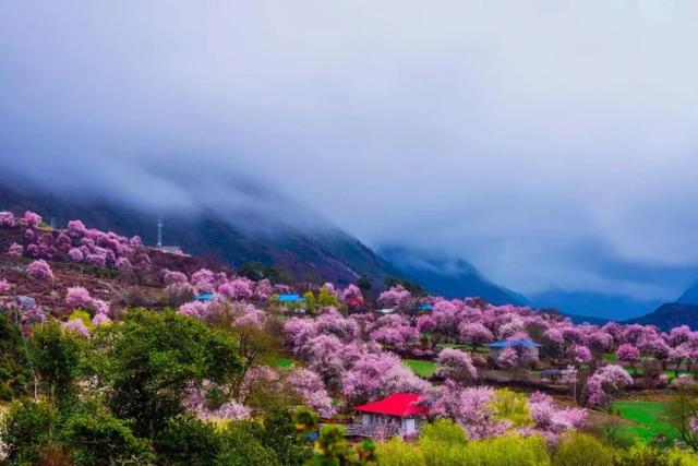 3-4月最佳旅行地，10个地方玩转整个春天