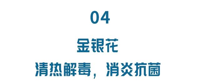 这4种花堪称“隐形医生”，滋阴润燥、活血美颜，好看好吃还养生