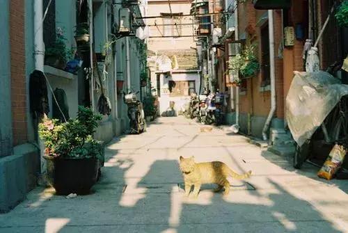 畅问旅游｜一场旅行、一段浪漫时光