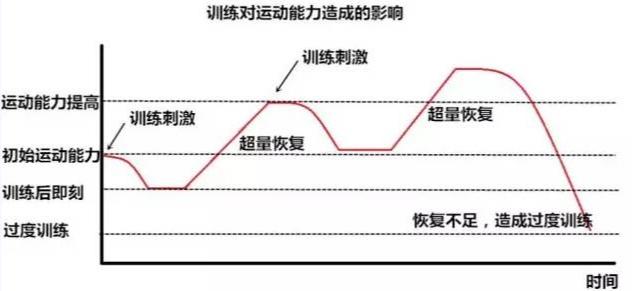 辟谣｜增肌就是猛吃狠练？掌握三大要素，科学高效增肌