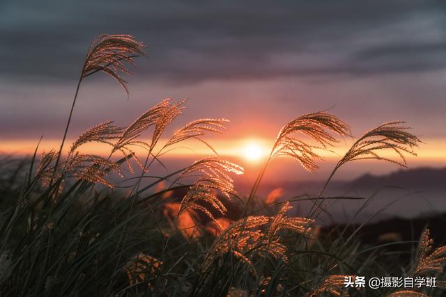 照片有节奏感更好看，咋拍摄咋修图？这4个摄影技巧帮你搞定