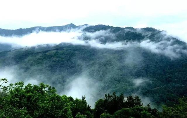 陇南康县 ￨ 一个不要门票的天然大景区