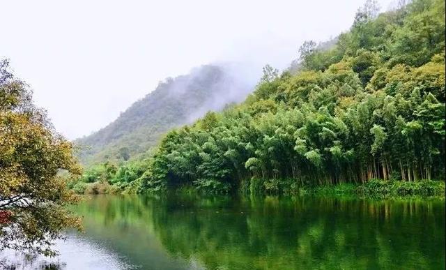 陇南康县 ￨ 一个不要门票的天然大景区