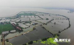 入梅以来，荆州已遭受6轮强降雨袭击