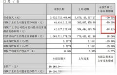 我爱我家公司实现营业收入39.32亿元，较