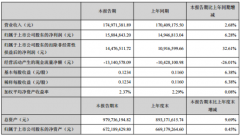 金陵体育2020年上半年公司实现营业收入