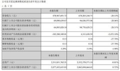 先河环保2020年上半年公司实现营业收入