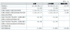 琪瑜光电2020年上半年公司实现营业收入