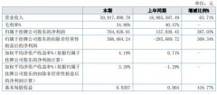 汉印股20年上半年公司实现营业收入30