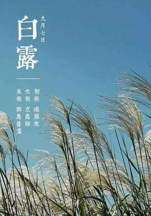 真正意义上的秋天来啦！周身乏力吃啥能调解？