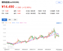 朗玛信息(300288.SZ)大幅高开逾12%，报14