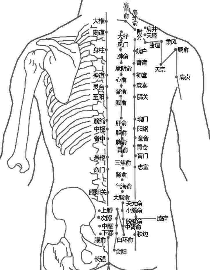 关于胃痛用穴治疗的诸多疑惑