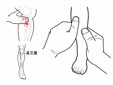 细说“足三里”，保健排第一