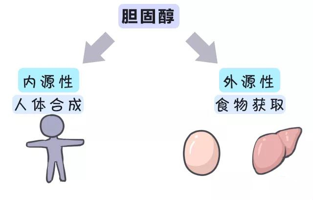 被冤枉的鸡蛋黄告诉你：一天最多可以吃几个鸡蛋？