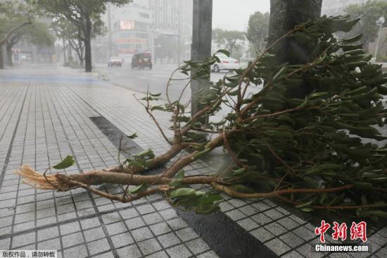 资料图：台风中的日本街道。