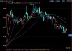 沿海豆粕现货稳中波动10-30成交量仍不大