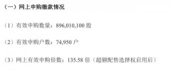 11月26日，数字人发布了发行结果公告，