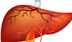 肝衰竭是怎么引起的？要如何防治？