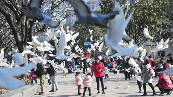 新民晚报 杨建正 摄