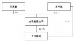 立讯精密(002475.SZ)今日放量大跌。截至收