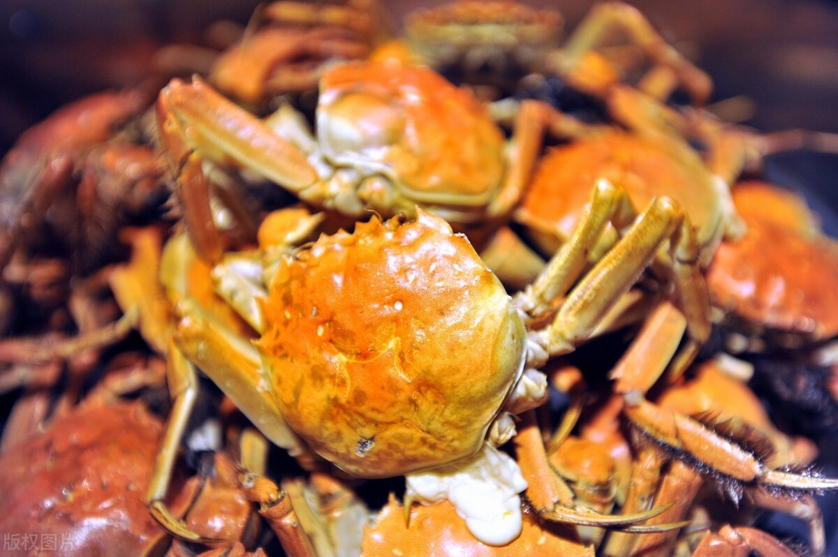 医生提醒：肾结石喜欢“六高”饮食，想养护肾脏，最好远离