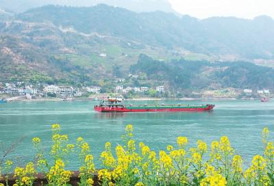  2021年2月15日，轮船行驶在长江三峡水域。近期，长江三峡两岸各色山花开放，春意渐浓。新华社 图