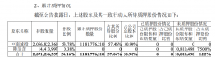 中南城投本次质押公司1000万股公司股份