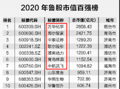 谁是这片齐鲁大地上，上市公司总市值