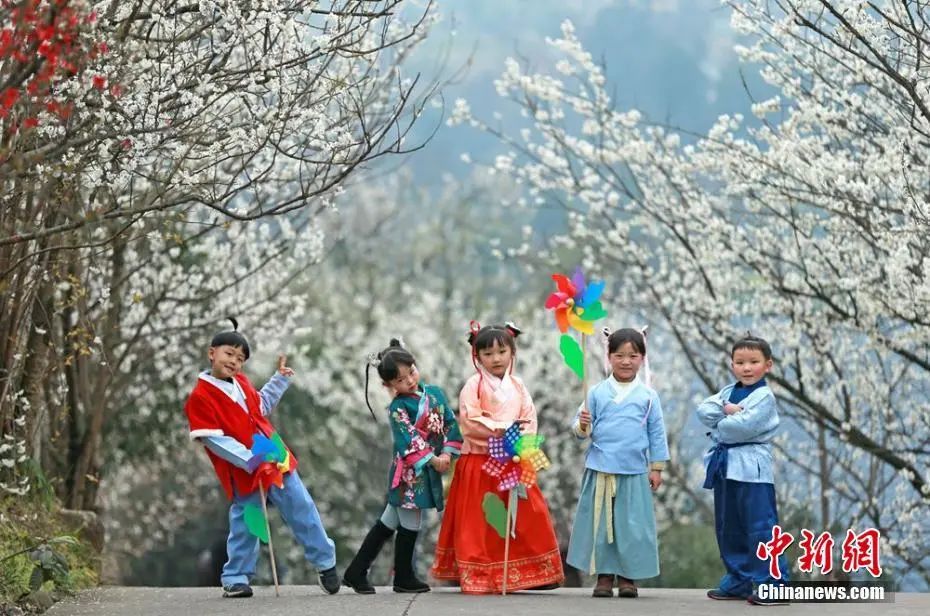 资料图：汉服萌娃“现身”万亩樱桃花海。钟欣 摄