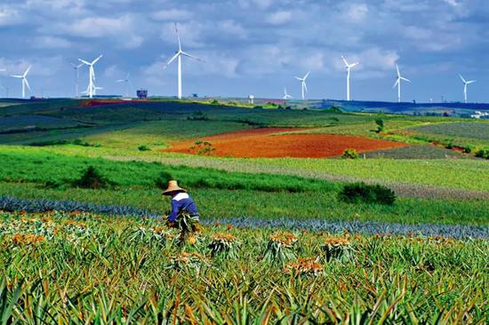 “十三五”时期，中国的光伏、风能装机容量和发电量均居世界首位。图/视觉中国