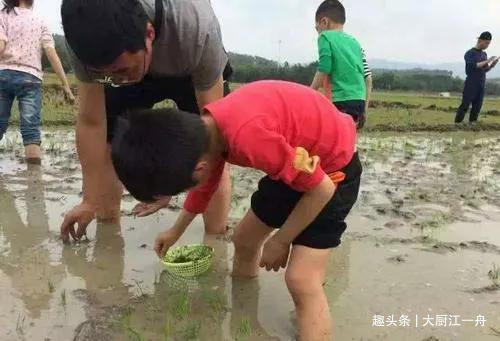 炒田螺，最忌直接下锅炒，大厨教你饭店做法，汤汁鲜美，特过瘾