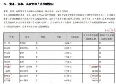  皖能电力2020年年报出错 高管薪酬单位