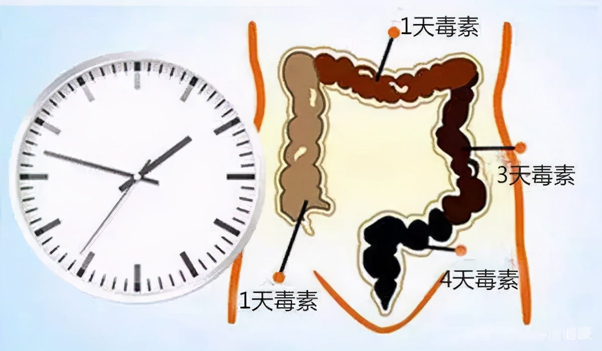 关于便秘，你需要知道的7件小事