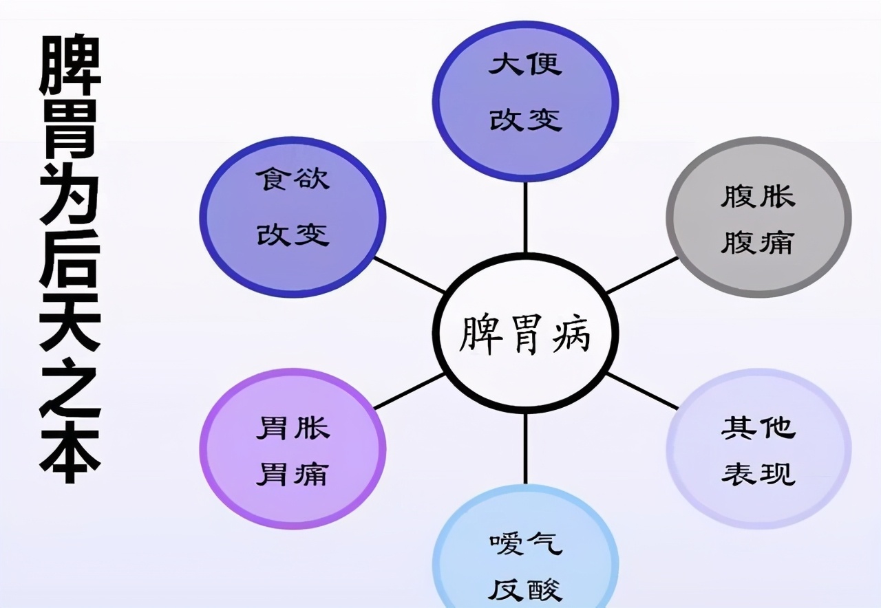 爱吃肉，当心脾胃不好！3种常见脾胃病，中医教你如何调理