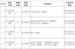 博士生是基础教育的“万灵药”吗？