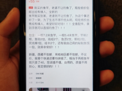  闲鱼公布十大转卖理由：“老婆不让”