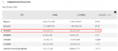 科创板上市的石头科技公布2022年中报，