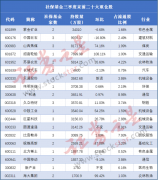 QFII则出现在11家上市公司的前十大流通