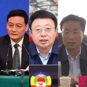 这些高官为何受到“断崖式”降级处理