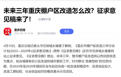 房价暴涨“万恶之源” 棚改货币化卷土