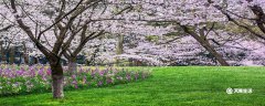 阳泉市春季赏花去哪里 推荐阳泉市春季